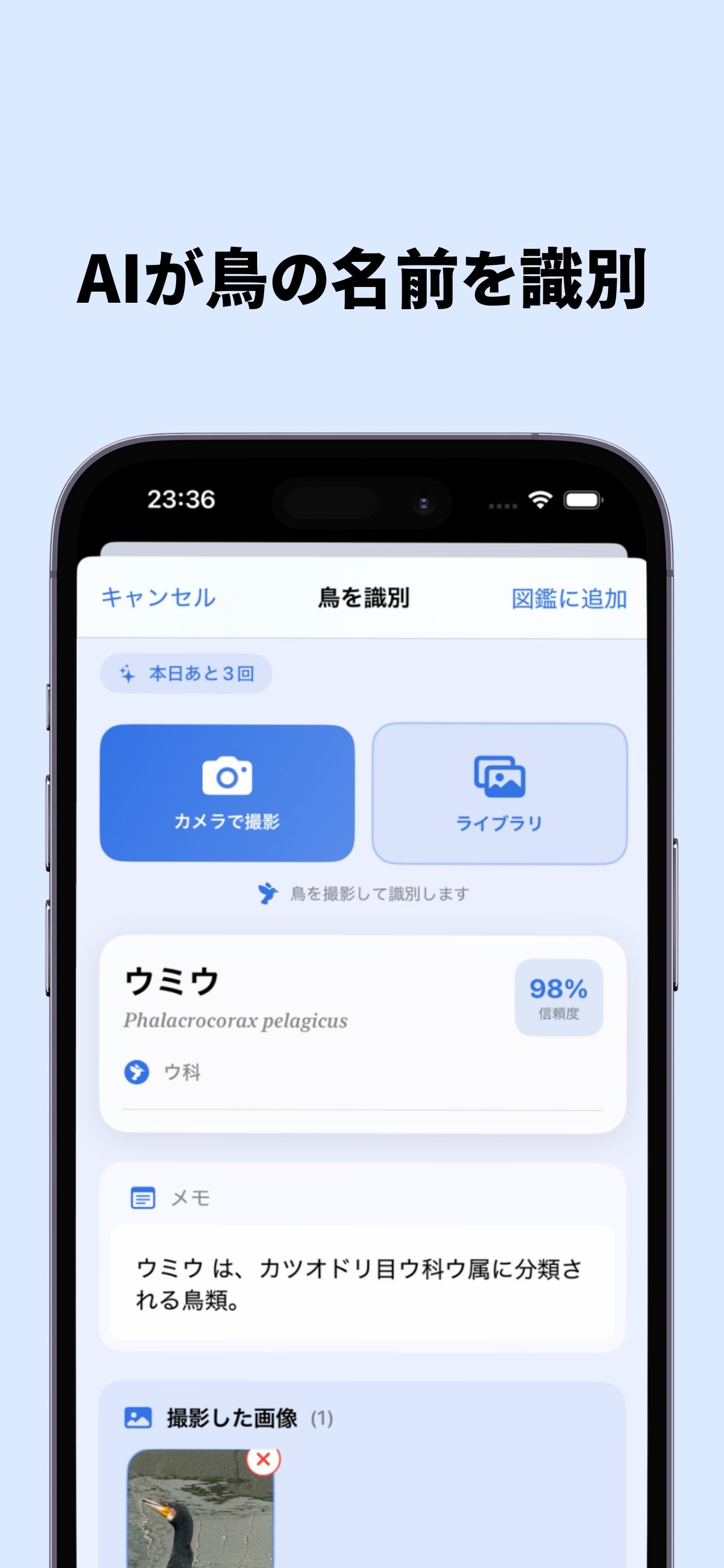 AI鳥類識別画面